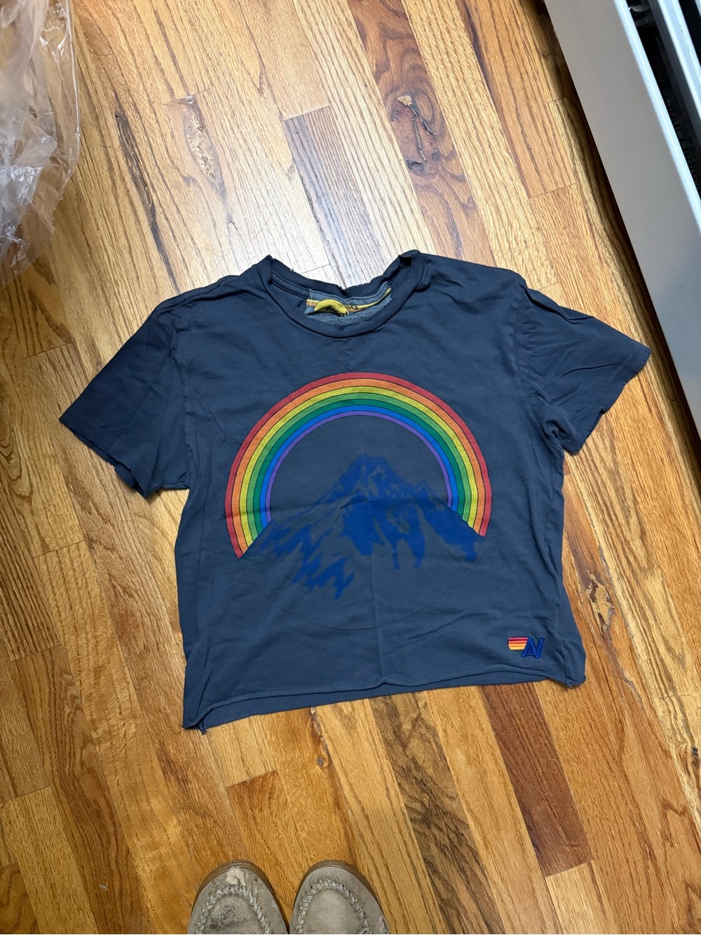 Aviator Nation Rainbow Mountain Graphic Tee